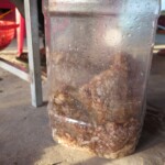 pálenka z nějakýho hnusu