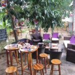 Mushrooms guest house