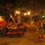 Mushrooms guest house