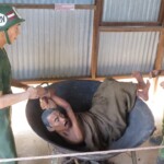 Vězně taky třeba zavřeli do pytle a hodili na velkou rozžhavenou pánev