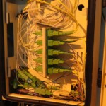 Rozvody optiky v Duang Dongu