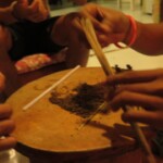 Mushrooms guest house