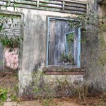 Opuštěnej barák v džungli