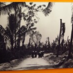 Agent Orange naprosto zrujnoval velké časti Vietnamského lesního porostu