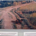 My Lai. Poslední fotka před smrtí.