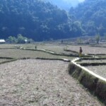 Cestička k termálnímu pramenu