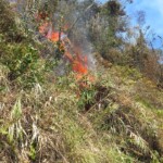 Sem tam potkáte menší požár