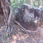 Site 2, planina džbánů