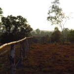 Site 2, planina džbánů