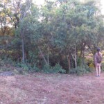 To je taky kráter od bomby