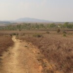 Vyšlapaná cesta s vyznačenými bezpečnostními značkami