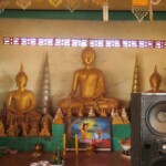 Reprobedny nesmí chybět