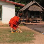 Mnich a jeho štěňátka