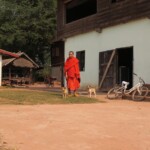 Mnich a jeho štěňátka