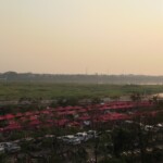 Výhled z terasy na noční trh