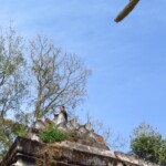 Tonka na rozbitý stúpě