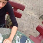 Kočky vám lezou až do jídla