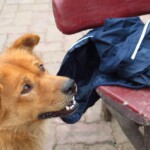 Na night marketu o pozornost nemáte nouzi