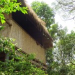 Náš první bungalow v Naga guesthouse